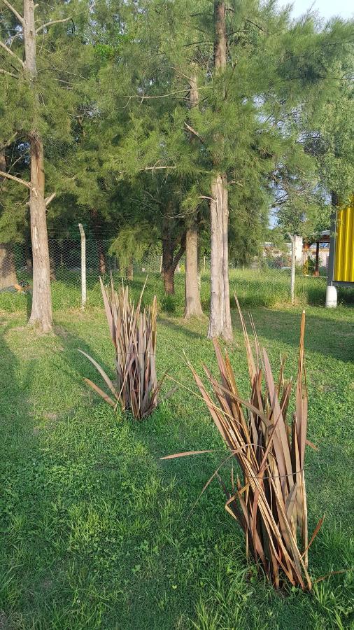 Terrabox Apart De Contenedores Olivera Экстерьер фото